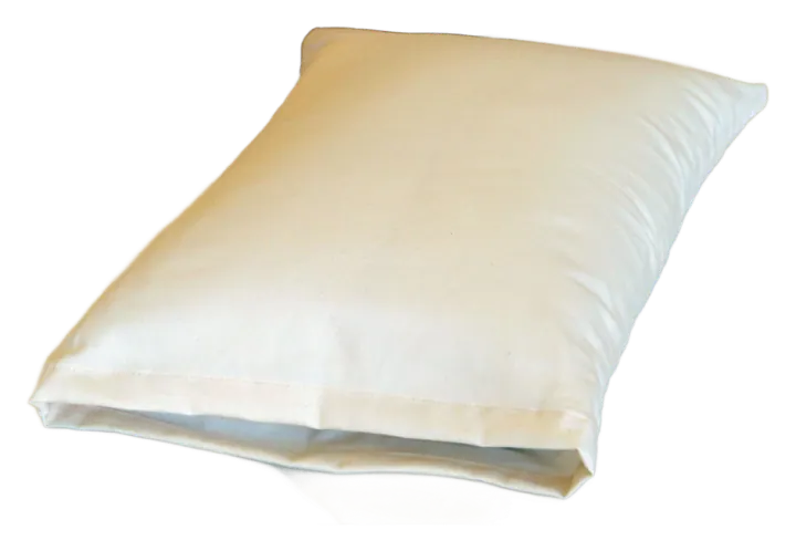 Holy Lamb Natural Snuggle Pillow — Eco Wool