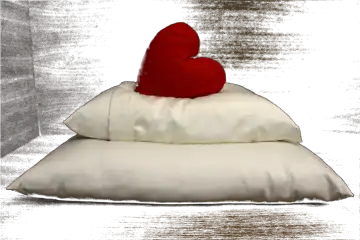 Soaring Heart Soft Organic Wool Travel and Kids Pillow
