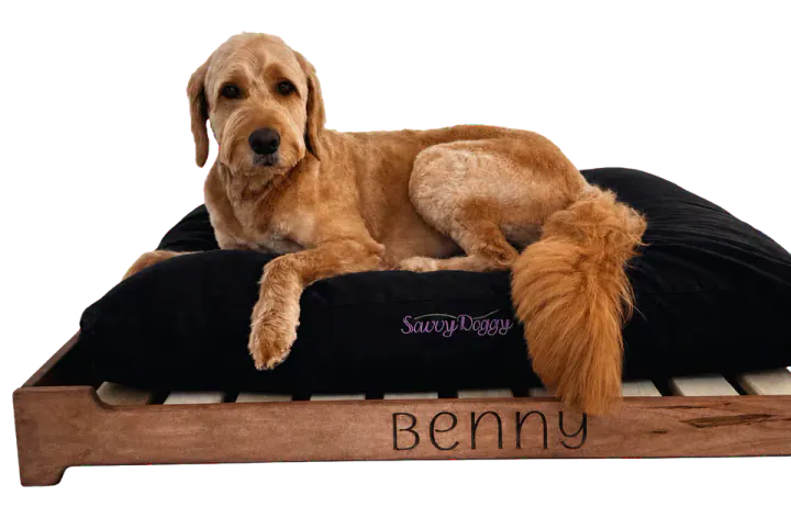 Savvy Rest Savvy Doggy Platform Bed