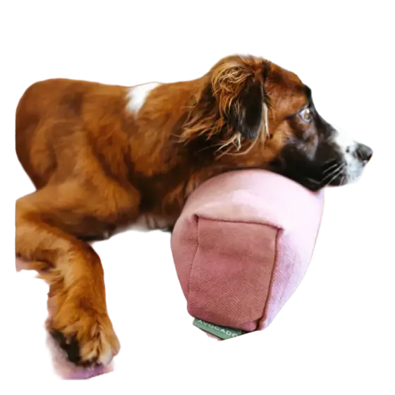 Avocado Mattress Organic Dog Pillow Bolster