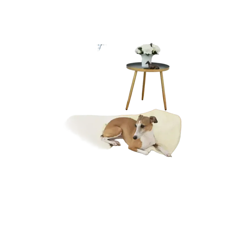 All Natural Dog Beds Vita Orthopedic Dog Bed, Natural