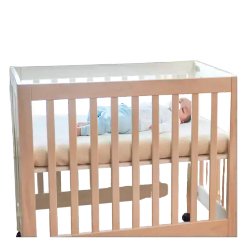 Naturepedic Organic Mini Crib Mattress
