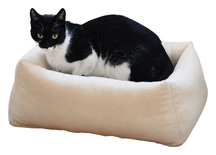 Home of Wool Organic Wool Cat Bed