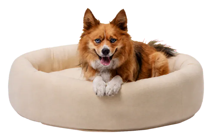 Home of Wool Round Wool Dog Bed