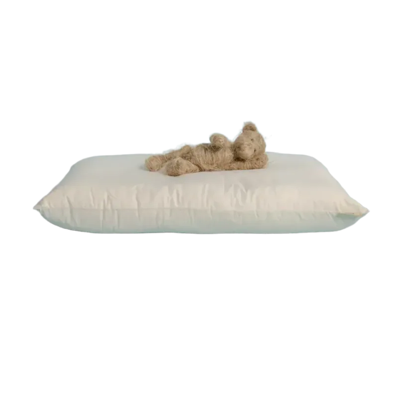 Rawganique SESAME 4-Inch Organic Cotton Pet Bed