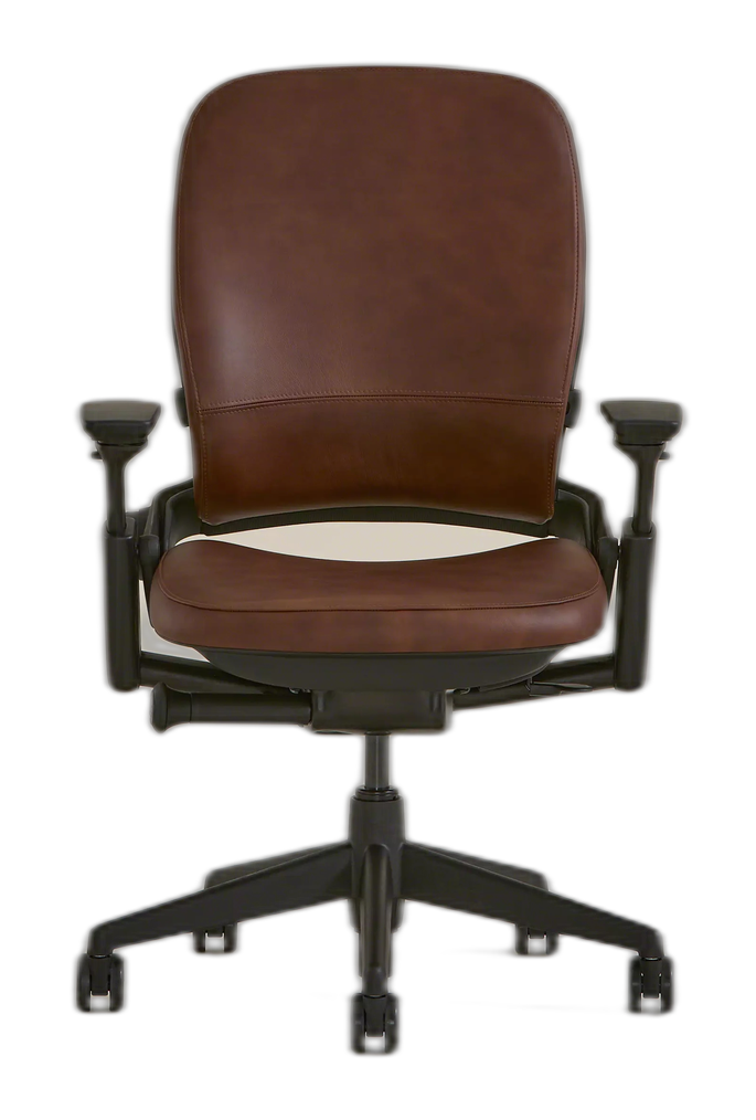 Steelcase Leap Chair